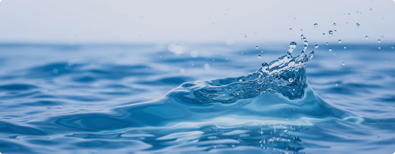 퍼멕스 인사말 이미지